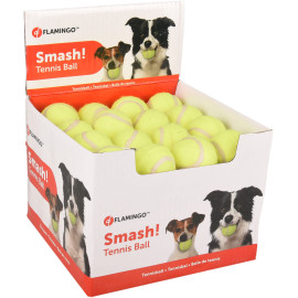 Balles de Tennis Smash...